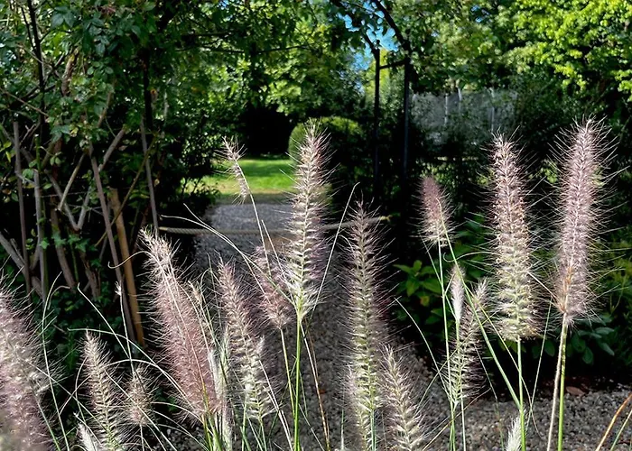 Bei Duesseldorf Villa